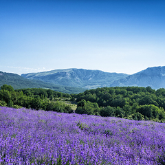 Отель Riviera Sunrise Resort & Spa, Алушта, Крым