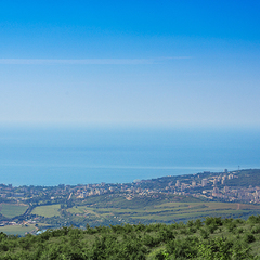 Отель Riviera Sunrise Resort & Spa, Алушта, Крым