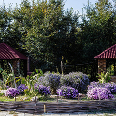 Пансионат Солнечная Долина, Оленевка, Крым