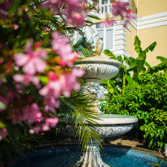 Отель Арина (Лоо), Лоо, Краснодарский край