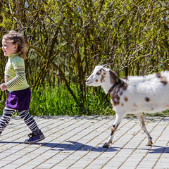 Пансионат Солнечная Долина, Оленевка, Крым