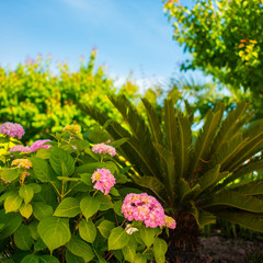 Отель Арина (Лоо), Лоо, Краснодарский край