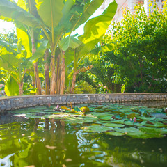 Отель Арина (Лоо), Лоо, Краснодарский край