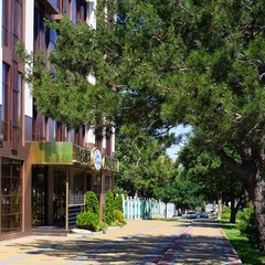 Отель Калифорния, Геленджик, Краснодарский край