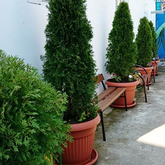 Отель Рузана , Вардане, Краснодарский край