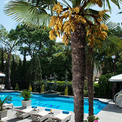 Отель Вилла Елена, Ялта, Крым