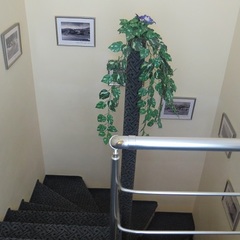 Гостиница Южная ночь, Алушта, Крым