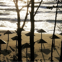 Гостиница Беккер, Янтарный, Калининградская область