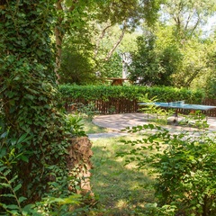 Отель Муссон, Ялта, Крым