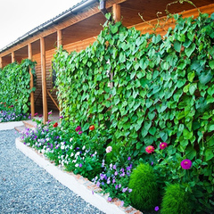 Пансионат Новый Океан, Черноморское, Крым