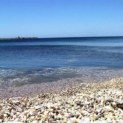 Пансионат Новый Океан, Черноморское, Крым