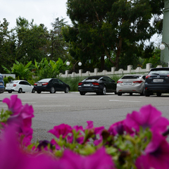 Отель Sea Galaxy Congress & Spa Hotel, Сочи, Краснодарский край