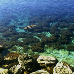 Пансионат Новый Океан, Черноморское, Крым