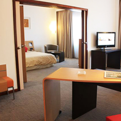 Гостиница Новотель Аэропорт Шереметьево / Novotel Airport Sheremetievo Hotel, Москва, Московская область