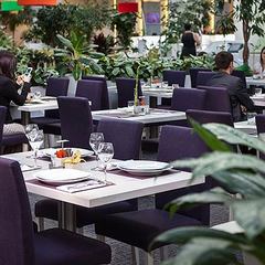 Гостиница Новотель Аэропорт Шереметьево / Novotel Airport Sheremetievo Hotel, Москва, Московская область