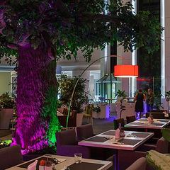 Гостиница Новотель Аэропорт Шереметьево / Novotel Airport Sheremetievo Hotel, Москва, Московская область