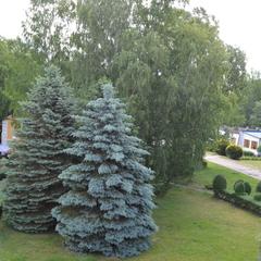 Пансионат Балтика, Светлогорск, Калининградская область