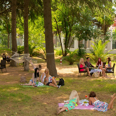 Гостиничный комплекс Бридж Резорт / Bridge Resort, Сочи, Краснодарский край