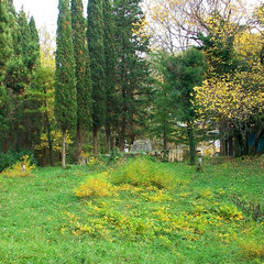 Пансионат Гизель-Дере, Туапсе, Краснодарский край