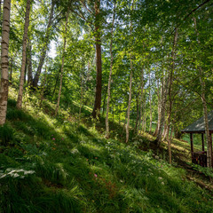 Отель Эхо, Белокуриха, Алтайский край