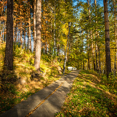 Отель Эхо, Белокуриха, Алтайский край