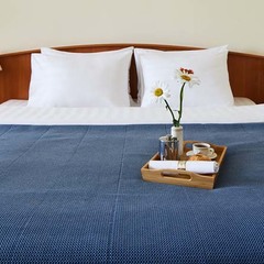 Гостиница Измайлово Гамма, Москва, Московская область