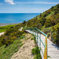 Пансионат Гольфстрим, Сукко, Краснодарский край