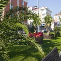 Отель Екатерининский квартал, Адлер, Краснодарский край