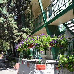 Эко-отель Алые Паруса, Сатера, Крым