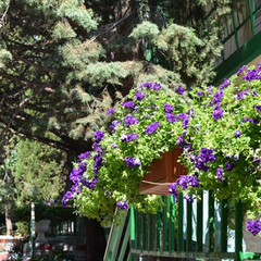 Эко-отель Алые Паруса, Сатера, Крым