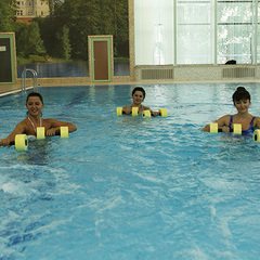 Санаторий Барвиха, Барвиха, Московская область