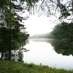Санаторий Барвиха, Барвиха, Московская область