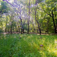 Санаторий Долина Нарзанов, Железноводск, Ставропольский край