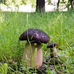 Санаторий Долина Нарзанов, Железноводск, Ставропольский край