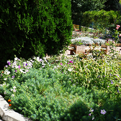 Санаторий Долина Нарзанов, Железноводск, Ставропольский край