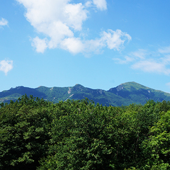 Санаторий Долина Нарзанов, Железноводск, Ставропольский край