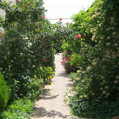 Гостевой дом Москвичка, Черноморское, Крым