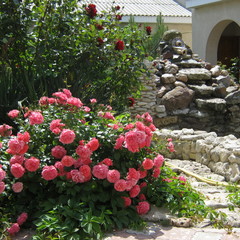 Гостевой дом Москвичка, Черноморское, Крым