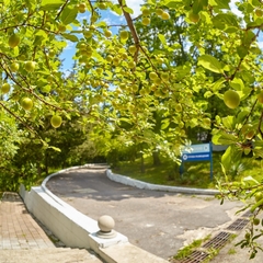 Пансионат Маяк, Шепси, Краснодарский край