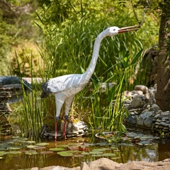 Пансионат Маяк, Шепси, Краснодарский край