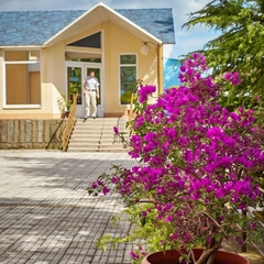 Пансионат Маяк, Шепси, Краснодарский край