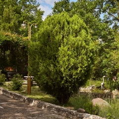 Пансионат Маяк, Шепси, Краснодарский край