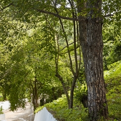 Пансионат Маяк, Шепси, Краснодарский край