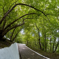 Пансионат Маяк, Шепси, Краснодарский край