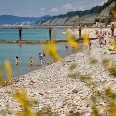 Пансионат Маяк, Шепси, Краснодарский край