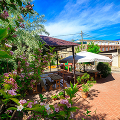 Отель Морской конёк , Джемете, Краснодарский край