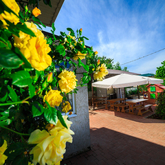 Отель Морской конёк , Джемете, Краснодарский край