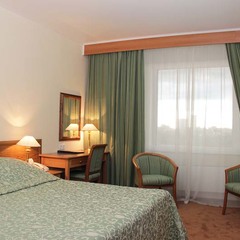 Гостиница Измайлово Дельта , Москва, Московская область