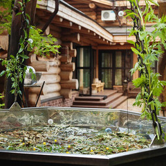 Загородный клуб Артилэнд, Московская область