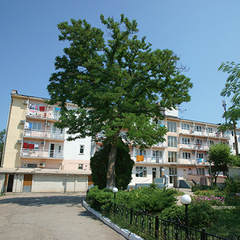 Санаторий Маяк ТОК, Феодосия, Крым